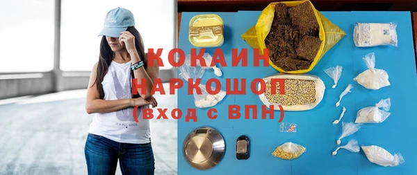 соль ск Алексин