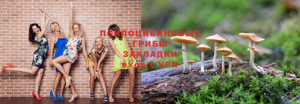 прущие крисы Алзамай
