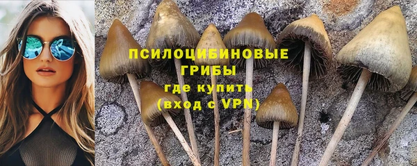 каннабис Алексеевка